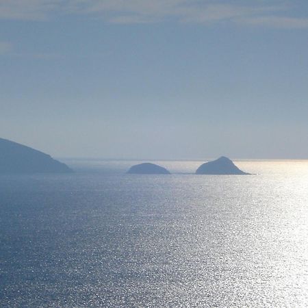 Villasoledad Appartamenti Per Vacanze Capoliveri  Eksteriør bilde