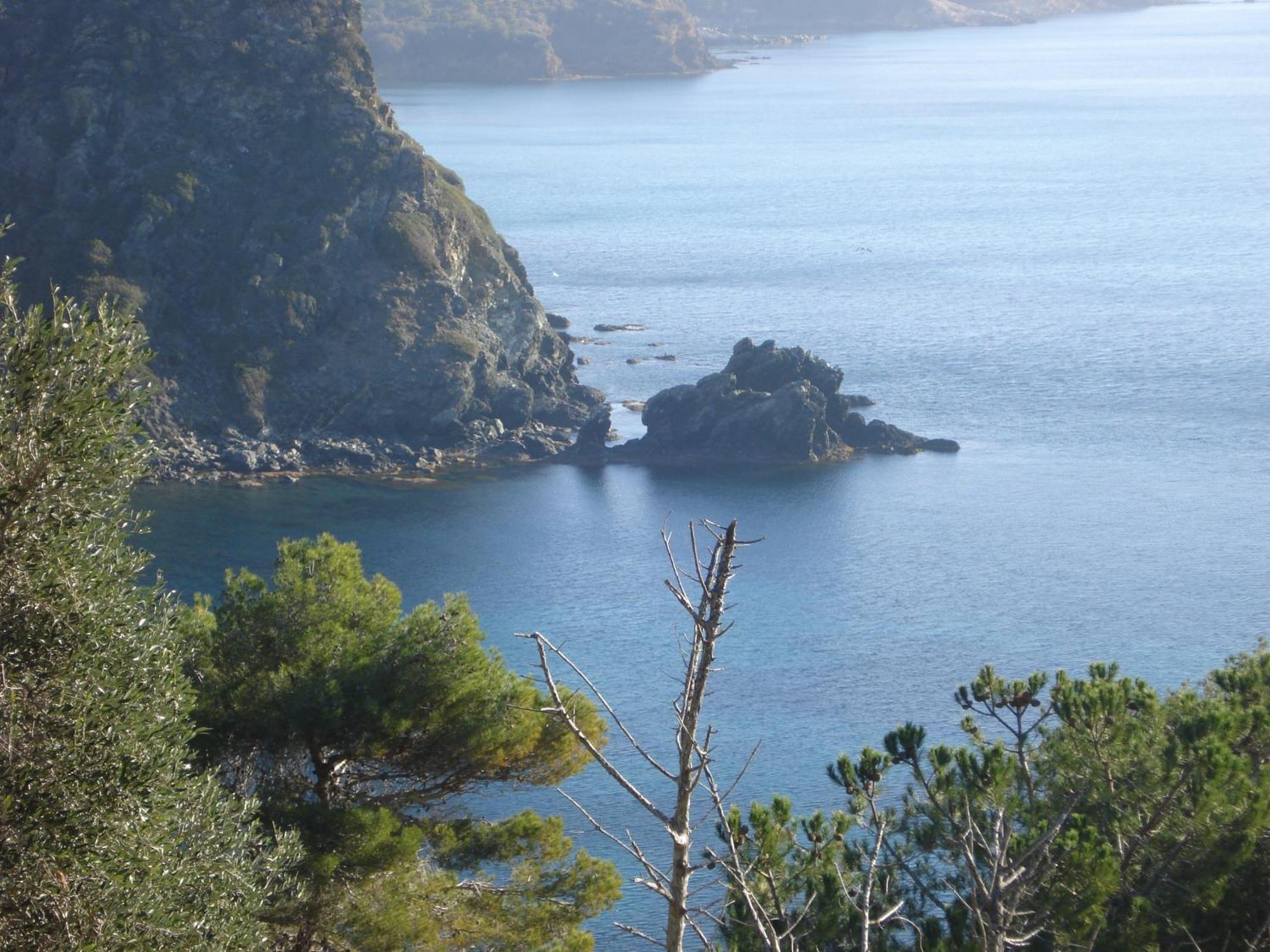 Villasoledad Appartamenti Per Vacanze Capoliveri  Eksteriør bilde